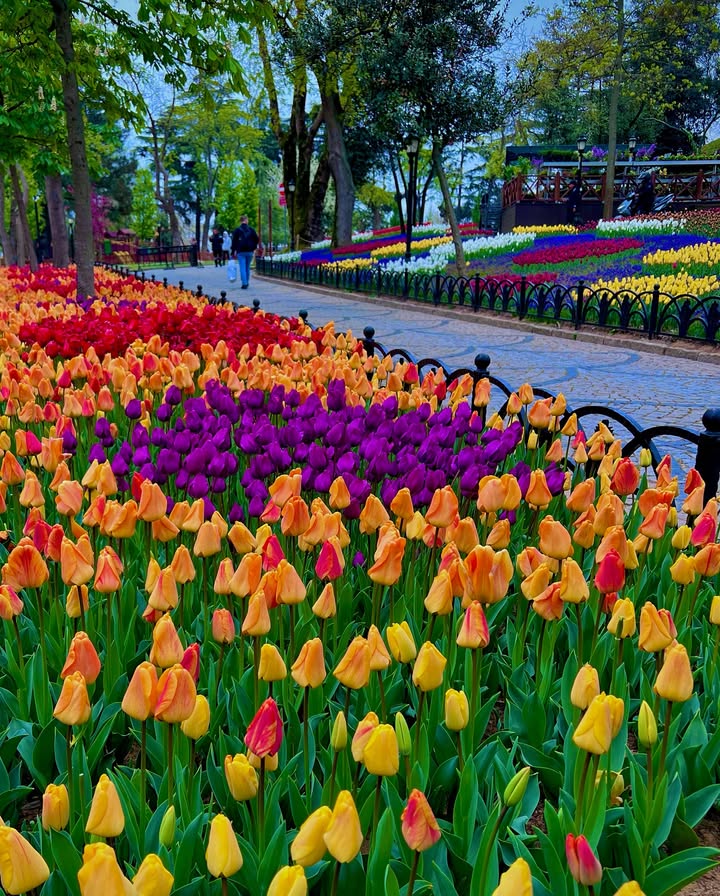 Spring in Istanbul