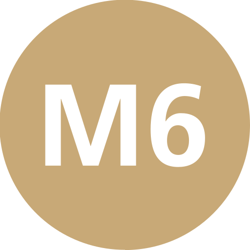 Istanbul Metro M6 Symbol