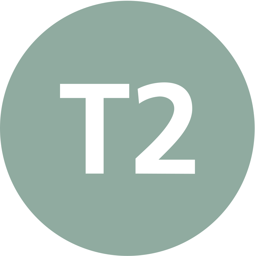 Istanbul Tram T2 Symbol