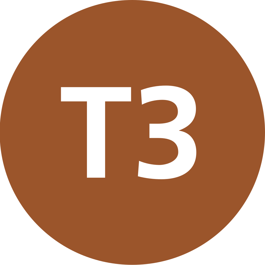 Istanbul Tram T3 Symbol