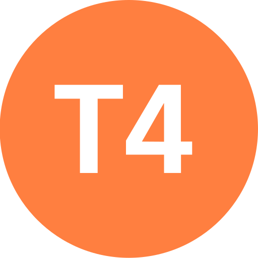 Istanbul Tram T4 Symbol