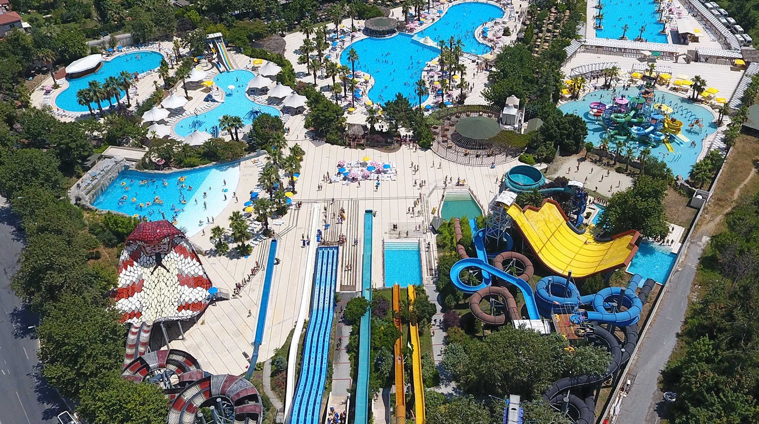Aqua Club Dolphin