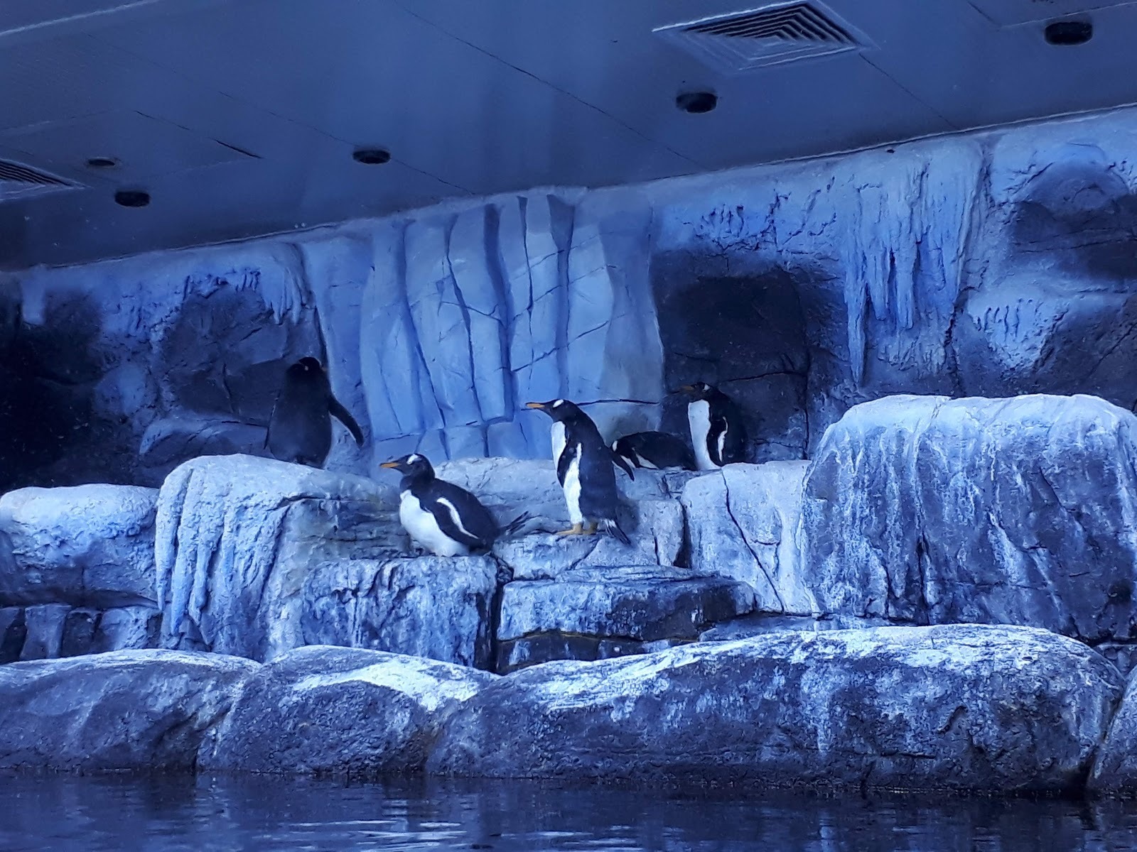 Istanbul Aquarium
