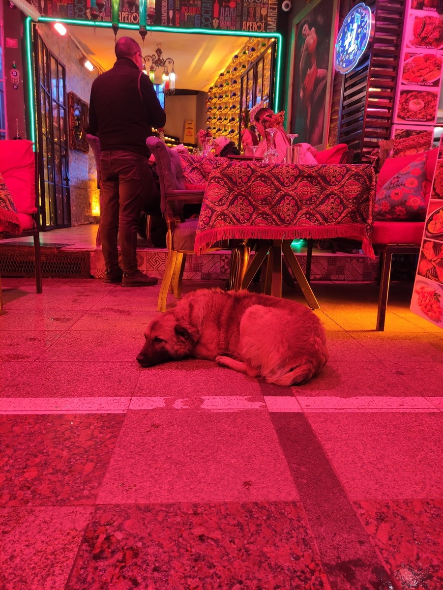 Anatolian house cafe & restaurant