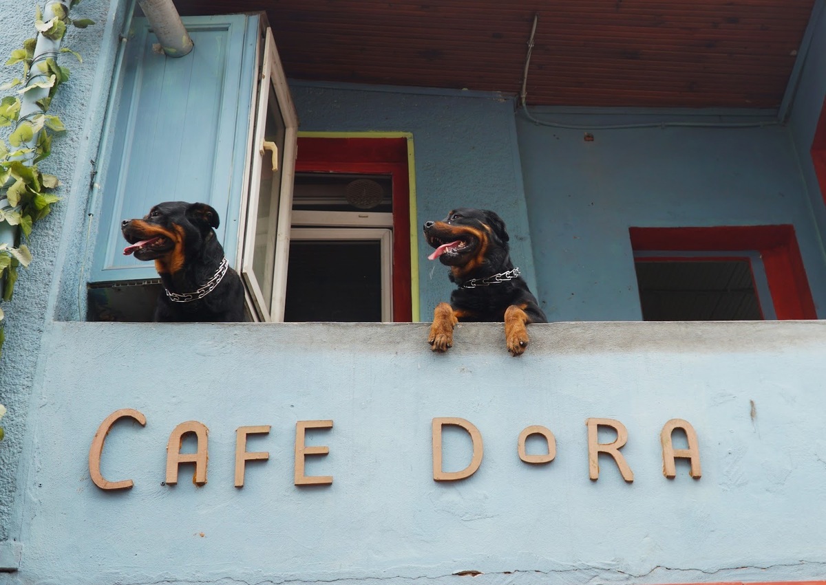 Cafe Dora
