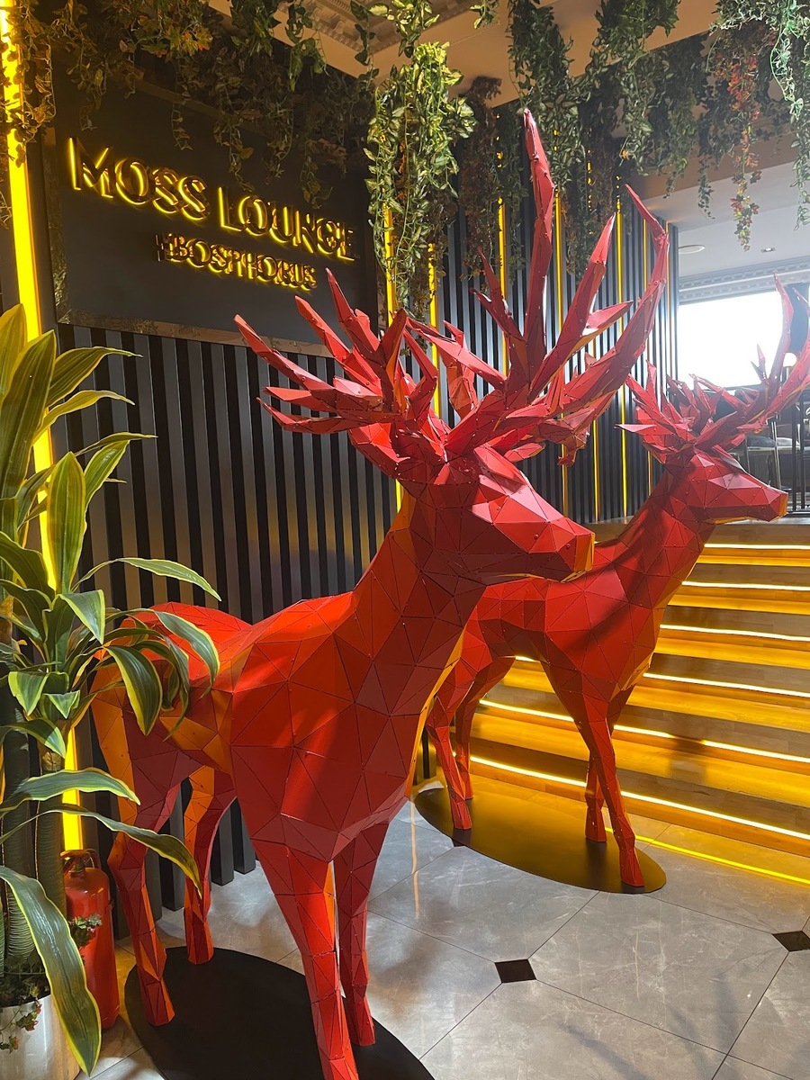 Moss Lounge The Bosphorus