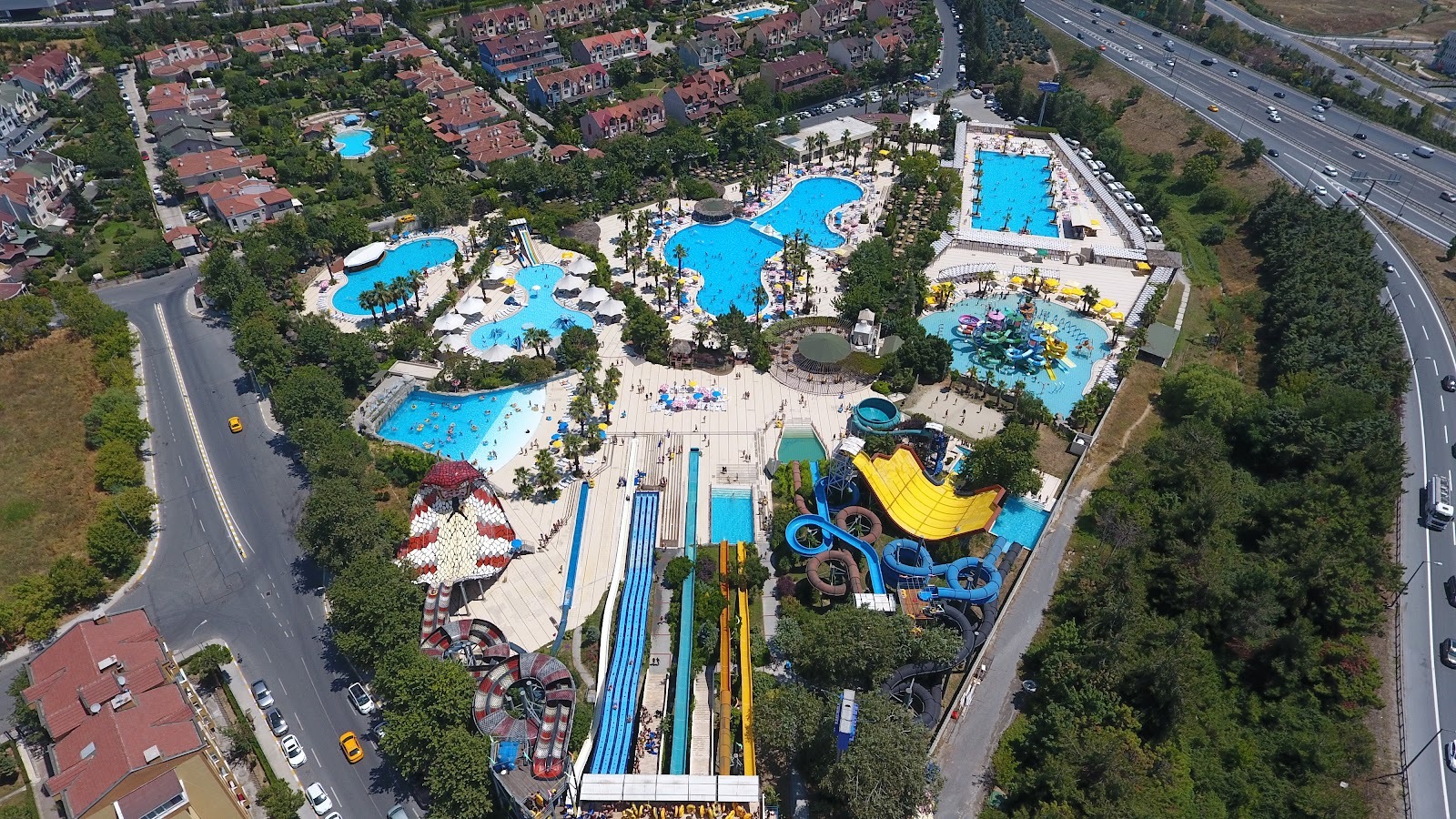 Aqua Club Dolphin
