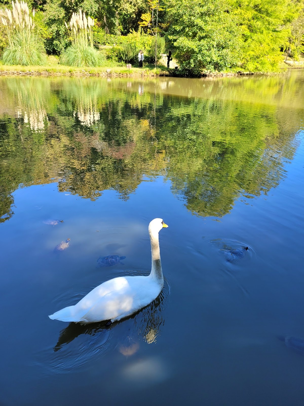 Ataturk Arboretum
