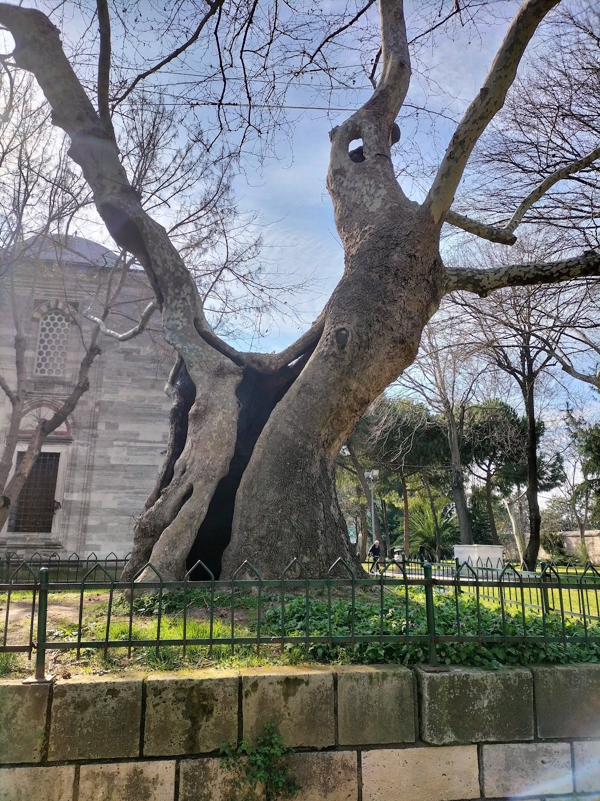 Şehzade Mosque