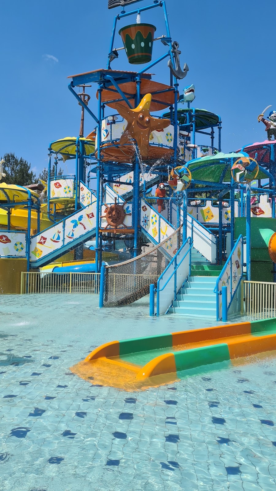 Aqua Club Dolphin