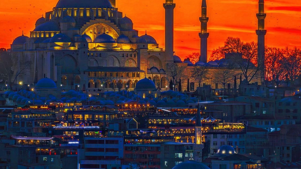 Moss Lounge The Bosphorus