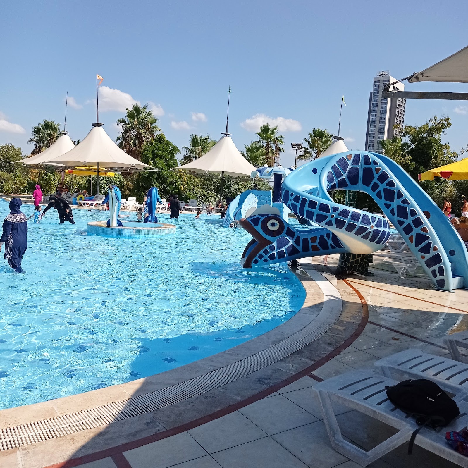 Aqua Club Dolphin