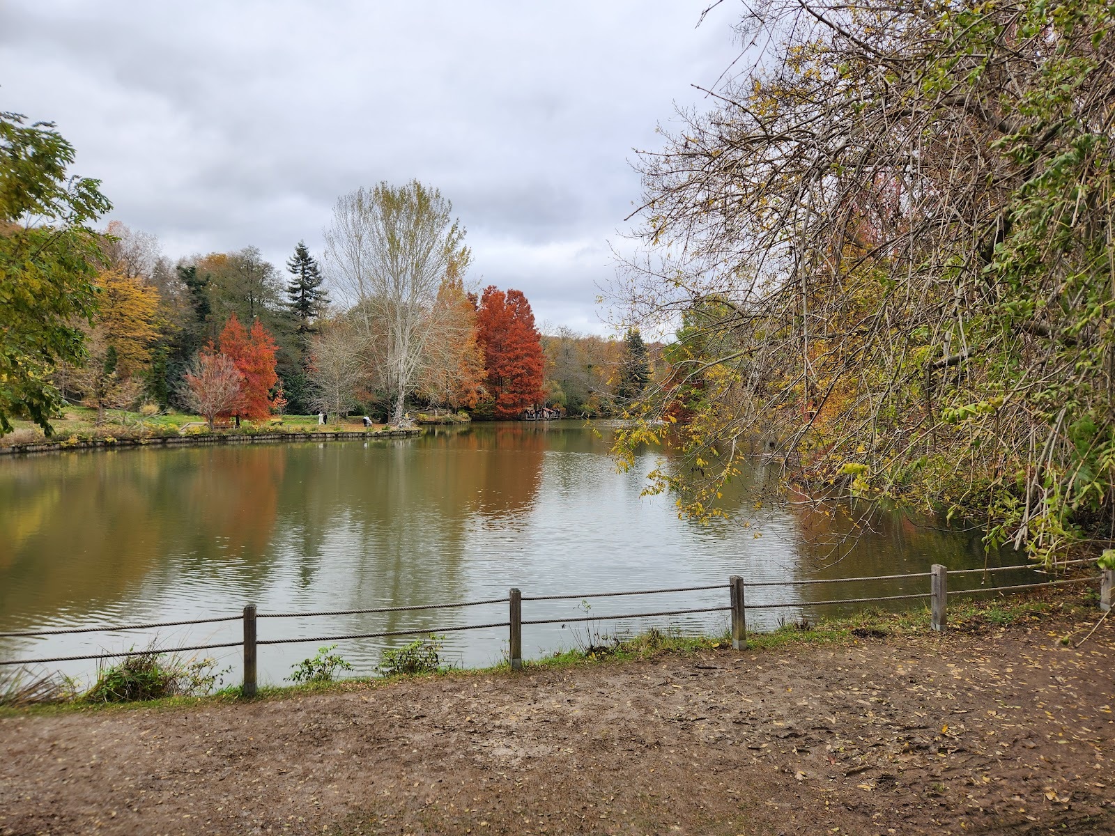 Ataturk Arboretum