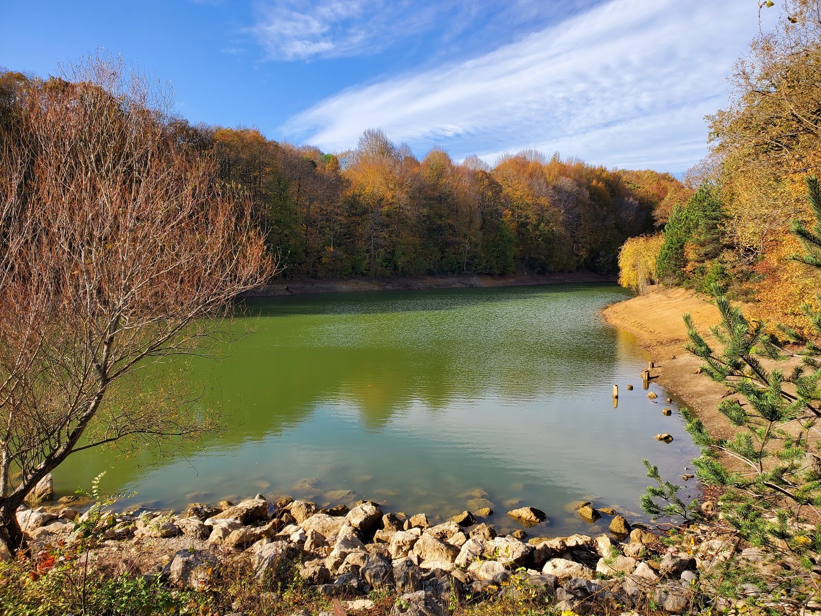 Ataturk Arboretum