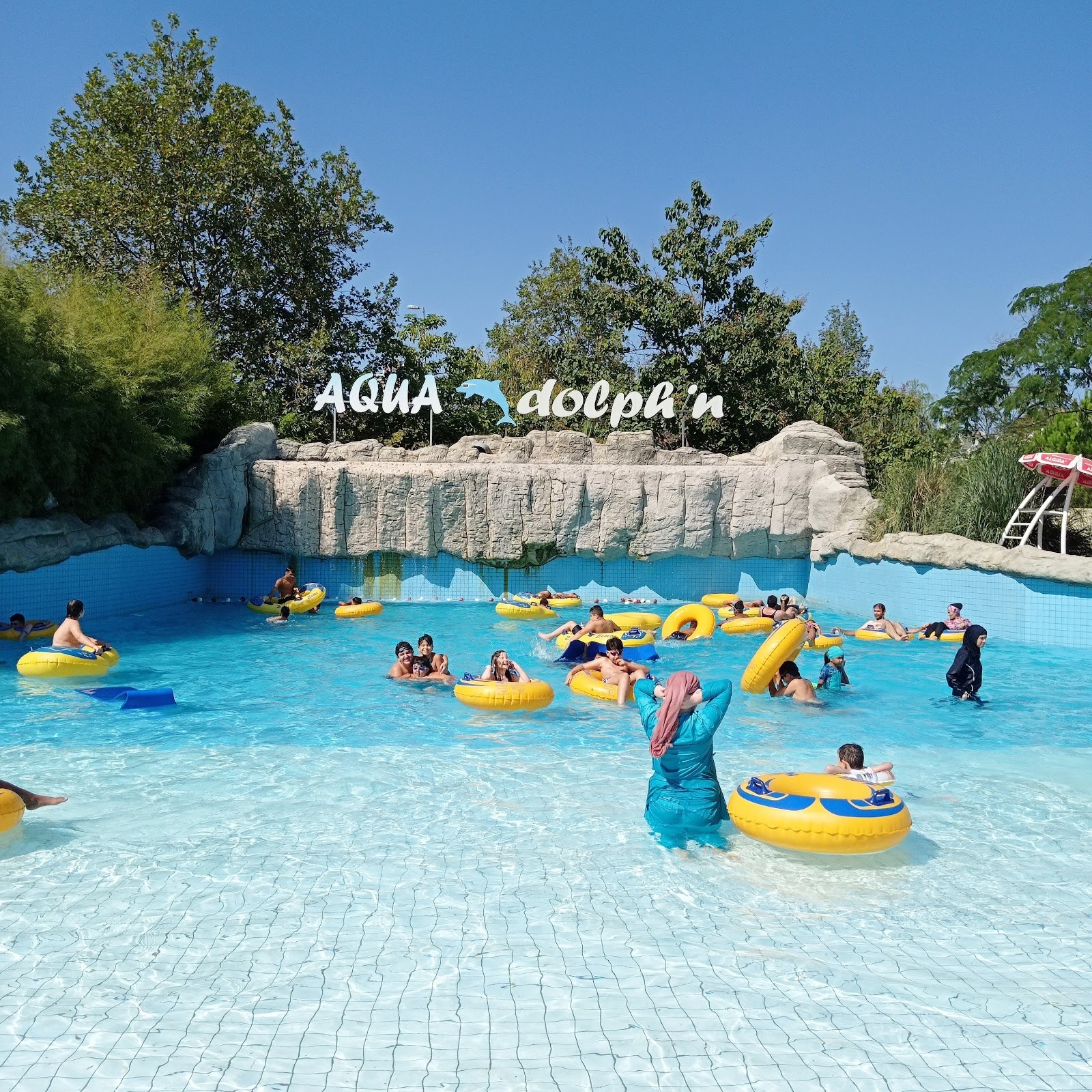Aqua Club Dolphin