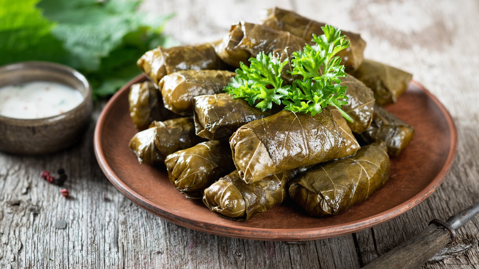 Dolma: The Essential Guide for Istanbul Visitors