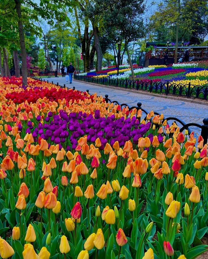 Spring in Istanbul