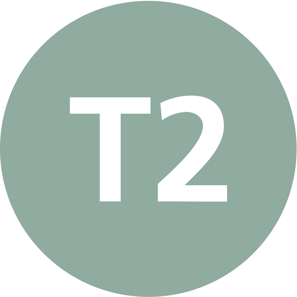 Istanbul Tram T2 Symbol