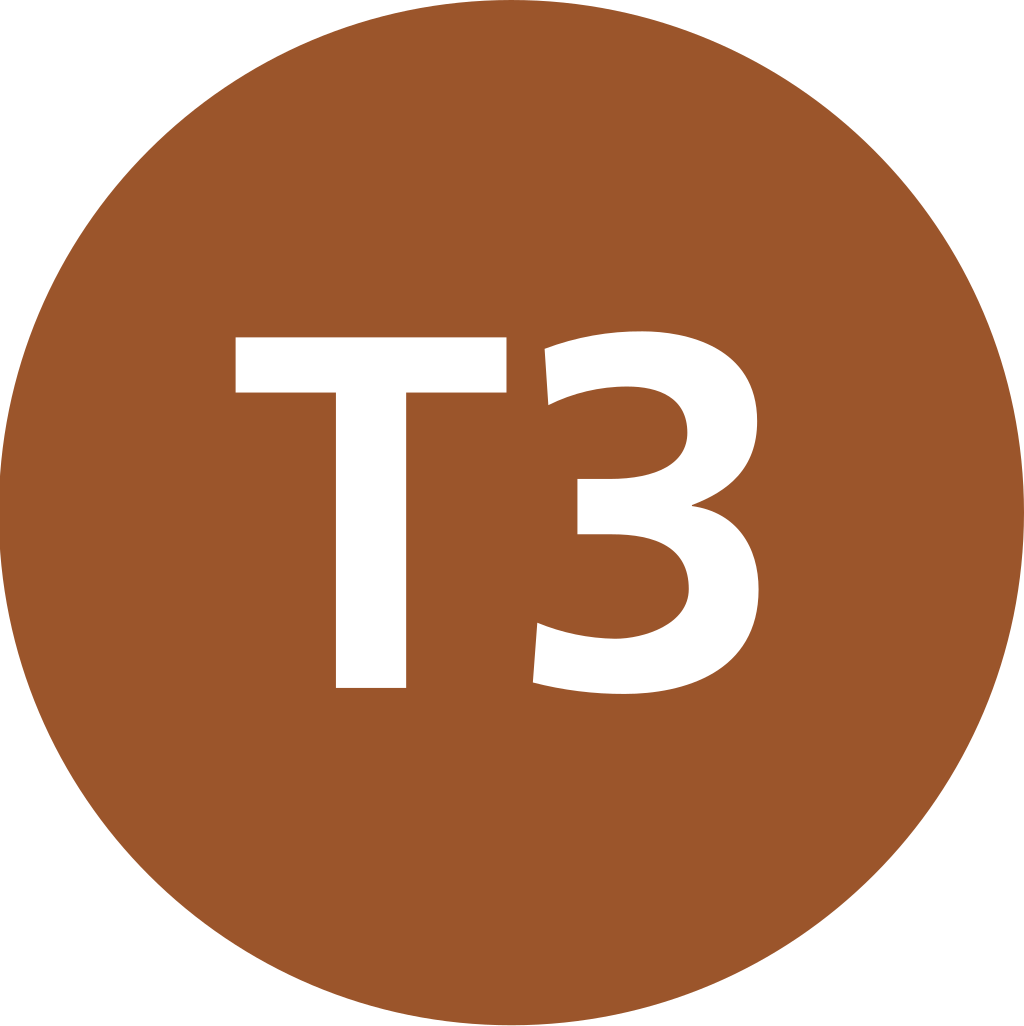 Istanbul Tram T3 Symbol