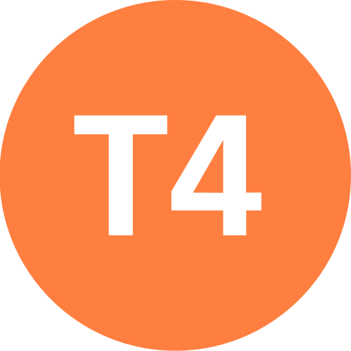 Istanbul Tram T4 Symbol