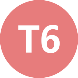 Istanbul Tram T6 Symbol