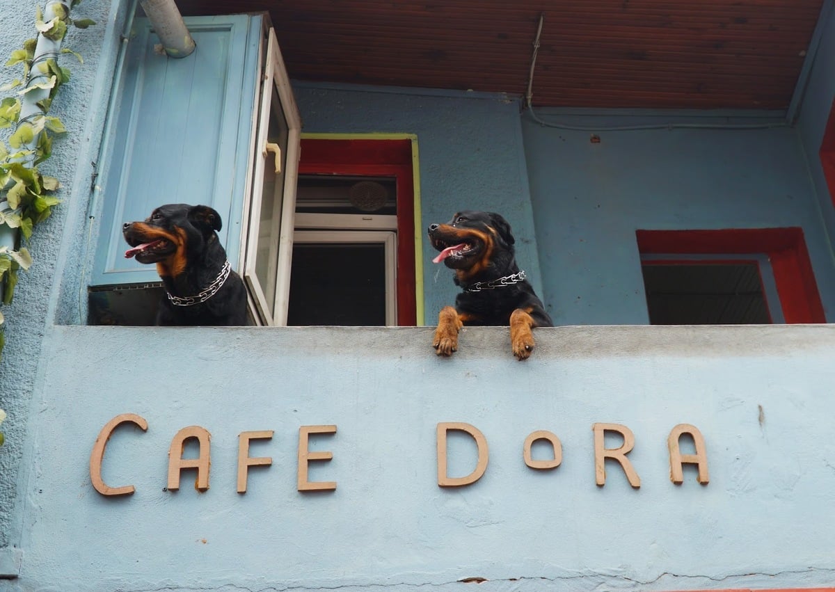 Cafe Dora