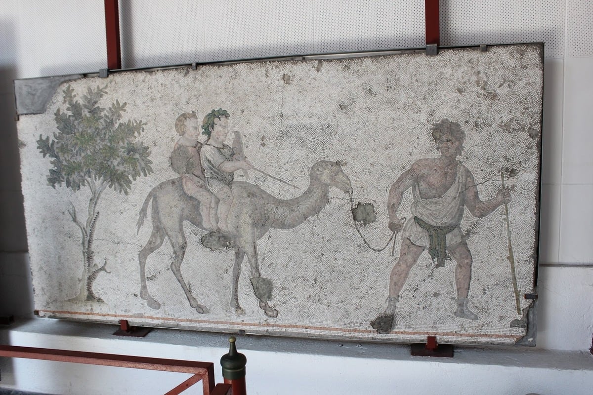 Great Palace Mosaics Museum