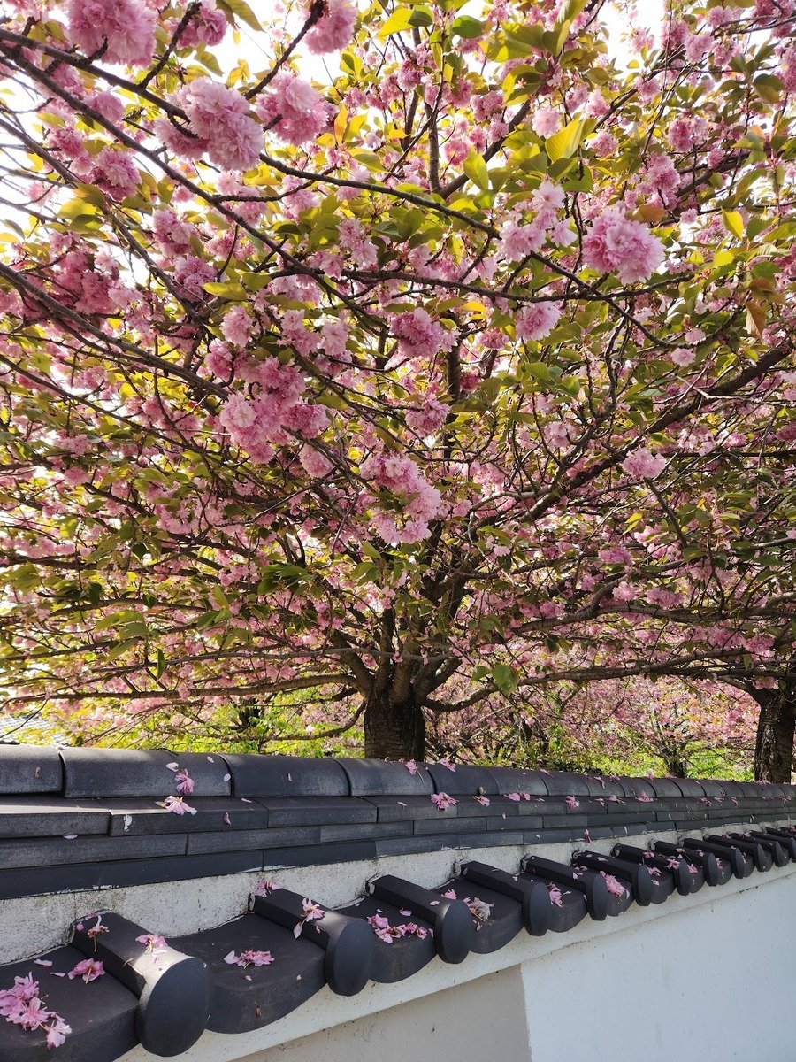 Baltalimanı Japanese Garden