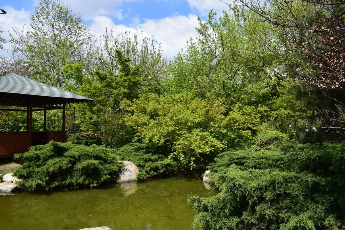 Baltalimanı Japanese Garden