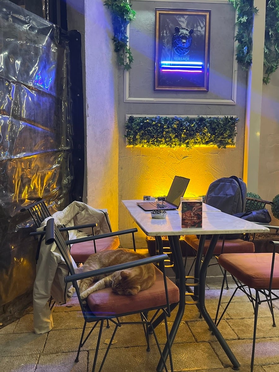 Aliki Cafe Kuzguncuk