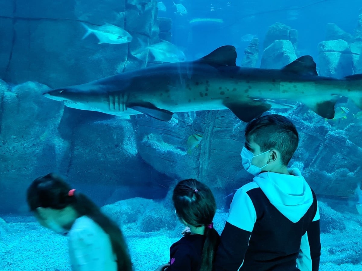 Istanbul Aquarium
