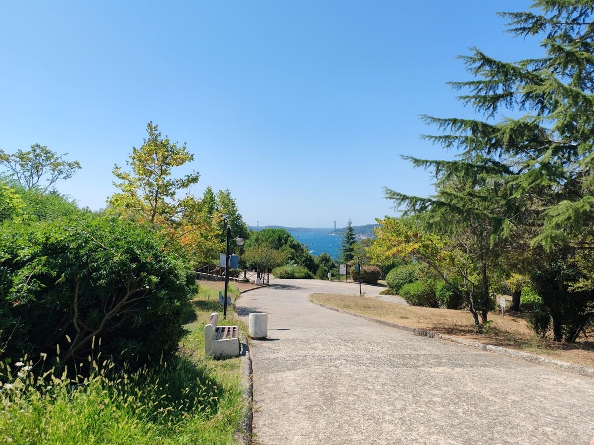 Otağtepe Fatih Grove