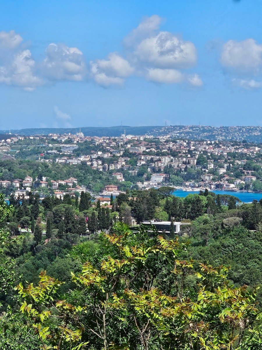 Otağtepe Fatih Grove