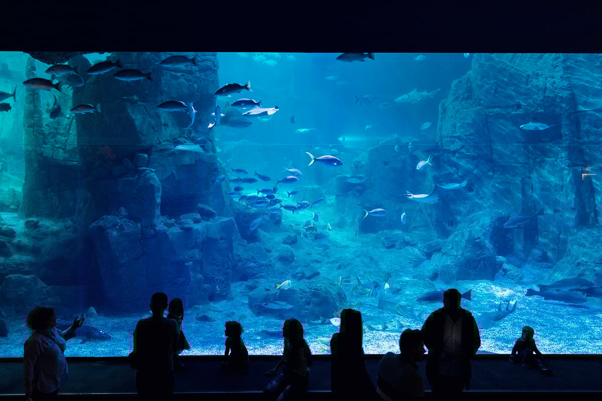 Istanbul Aquarium