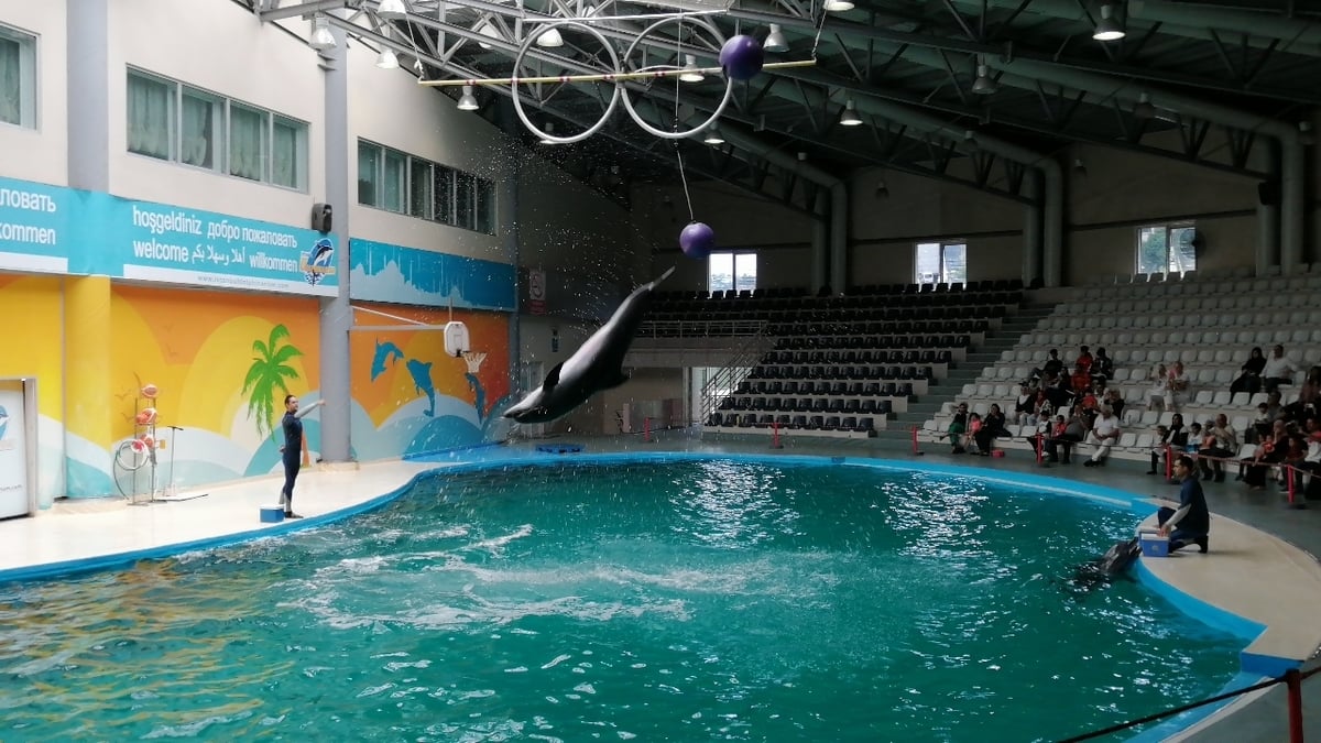Istanbul Dolphinarium